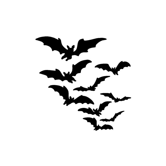 A Group Of Bats 35