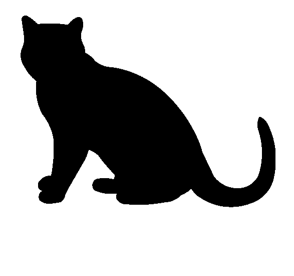 Cat 8